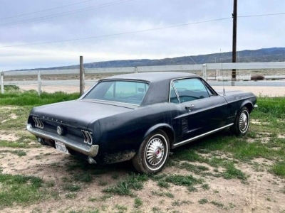 1967 Ford Mustang for sale