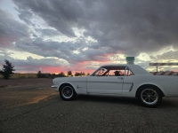 1964 Ford Mustang for sale in Michigan (ID-164171)