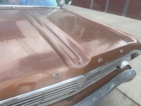 1964 Ford Ranchero for sale in Michigan (ID-163076)