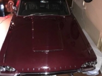 1964 Ford Thunderbird for sale in Michigan (ID-101596)