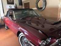 1964 Ford Thunderbird for sale in Michigan (ID-101596)