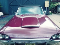1964 Ford Thunderbird for sale in Michigan (ID-101596)