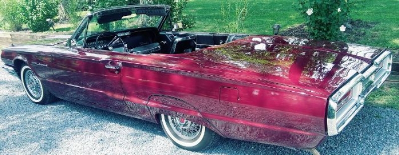 1964 Ford Thunderbird for sale in Michigan (ID-111561)