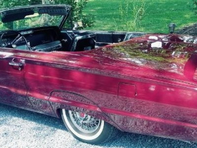 1964 Ford Thunderbird for sale