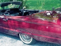 1964 Ford Thunderbird for sale in Michigan (ID-111561)