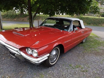 1964 Ford Thunderbird for sale