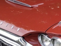 1964 Ford Thunderbird for sale in Riverhead, New York (ID-121270)