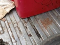 1964 Mercury Comet for sale in Michigan (ID-156000)