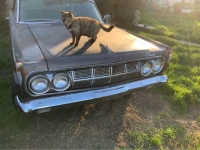 1964 Mercury Comet for sale in Michigan (ID-162770)