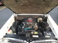 1964 Pontiac GTO for sale (ID-119916)