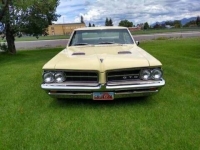 1964 Pontiac GTO for sale in Michigan (ID-123992)
