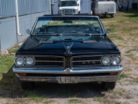 1964 Pontiac GTO for sale (ID-141378)