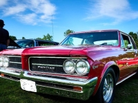 1964 Pontiac LeMans for sale in Michigan (ID-130271)