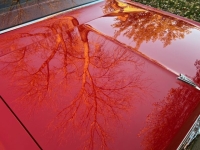 1964 Pontiac Tempest for sale in Michigan (ID-136848)