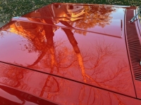 1964 Pontiac Tempest for sale in Michigan (ID-136848)