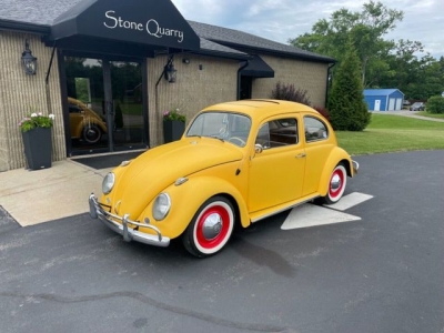 1964 Volkswagen Beetle for sale