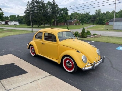 1964 Volkswagen Beetle for sale