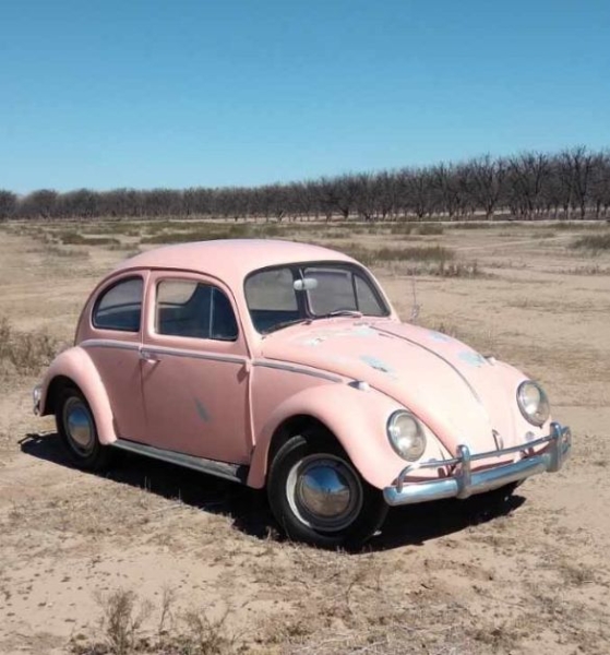 1964 Volkswagen Beetle for sale (ID-127095) 1964 Volkswagen Beetle for sale (ID-127095)