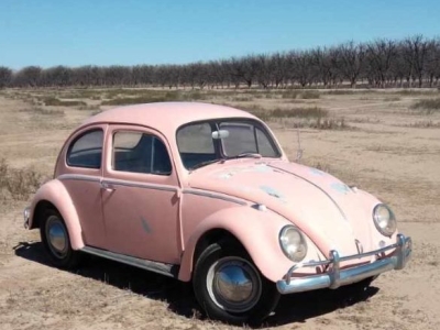 1964 Volkswagen Beetle for sale