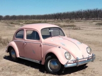 1964 Volkswagen Beetle for sale (ID-127095)
