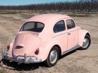 1964 Volkswagen Beetle for sale (ID-127095)