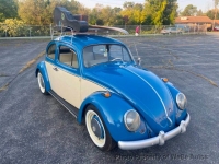 1964 Volkswagen Beetle for sale in Riverhead, New York (ID-134009)