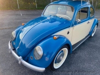1964 Volkswagen Beetle for sale in Riverhead, New York (ID-134009)