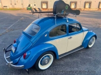 1964 Volkswagen Beetle for sale in Riverhead, New York (ID-134009)