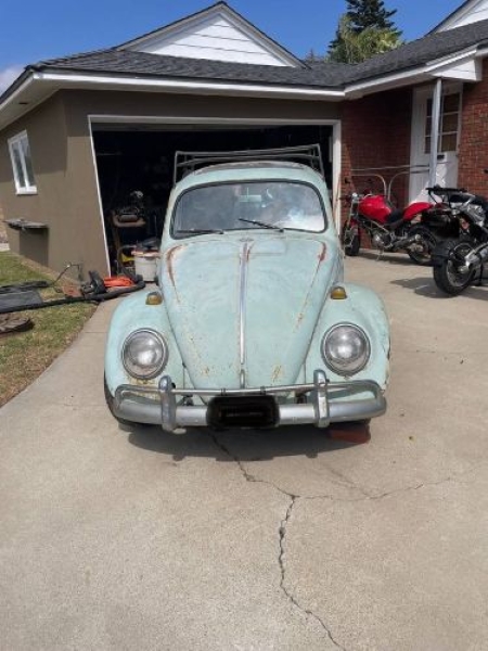 1964 Volkswagen Beetle for sale in Michigan (ID-138125) 1964 Volkswagen Beetle for sale in Michigan (ID-138125)