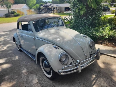 1964 Volkswagen Beetle for sale