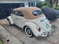 1964 Volkswagen Beetle for sale in Michigan (ID-140710)