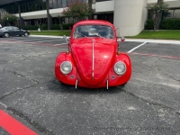 1964 Volkswagen Beetle for sale in Riverhead, New York (ID-144489)