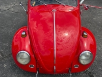 1964 Volkswagen Beetle for sale in Riverhead, New York (ID-144489)