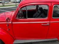 1964 Volkswagen Beetle for sale in Riverhead, New York (ID-144489)