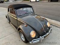 1964 Volkswagen Beetle for sale in Anaheim, California (ID-156010)