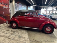1964 Volkswagen Beetle Convertible for sale in Riverhead, New York (ID-163954)
