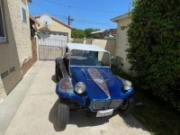 1964 Volkswagen Dune Buggy for sale in Michigan (ID-120104)