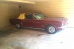 1965 Ford Mustang for sale in Dallas, Texas (ID-25738)