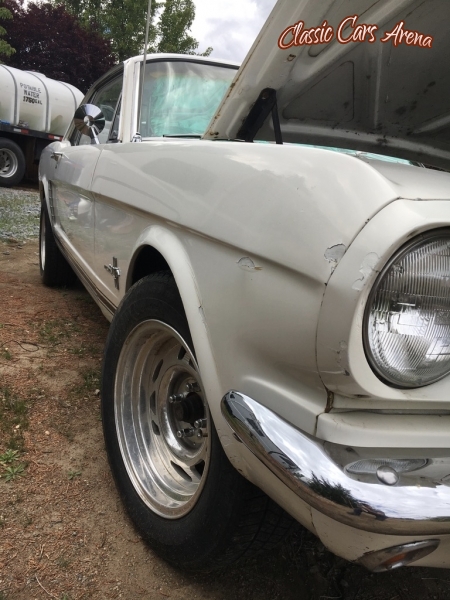 1965 Ford Mustang for sale in Carson City, Nevada (ID-72814) 1965 Ford Mustang for sale in Carson City, Nevada (ID-72814)