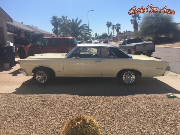 1965 Pontiac GTO for sale in Mesa, Arizona (ID-32227) 1965 Pontiac GTO for sale in Mesa, Arizona (ID-32227)