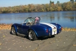 1965 Ford Cobra for sale in Michigan (ID-12781)