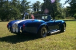 1965 Ford Cobra for sale in Michigan (ID-12781)