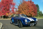 1965 Ford Cobra for sale in Michigan (ID-12781)