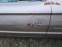 1965 Ford Thunderbird for sale in Illinois (ID-36415)