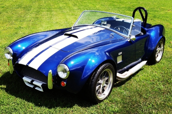 1965 Ford Cobra for sale