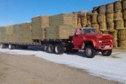 1965 GMC 5000 for sale