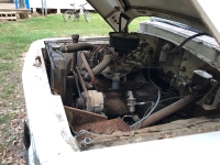 1965 International Truck for sale in Tyler, Texas (ID-68203)