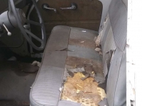 1965 International Truck for sale in Tyler, Texas (ID-68203)