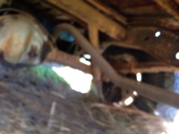 1965 Jeep J200 for sale in Arkansas (ID-81163)