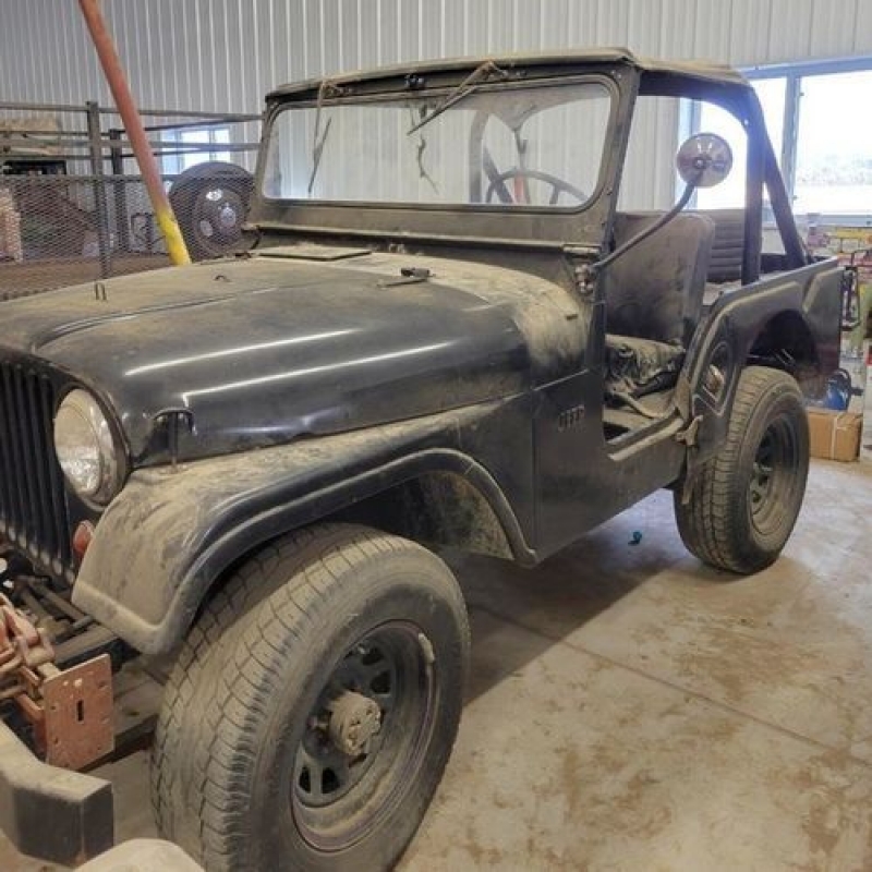 1965 Jeep CJ5 for sale in Michigan (ID-93794)